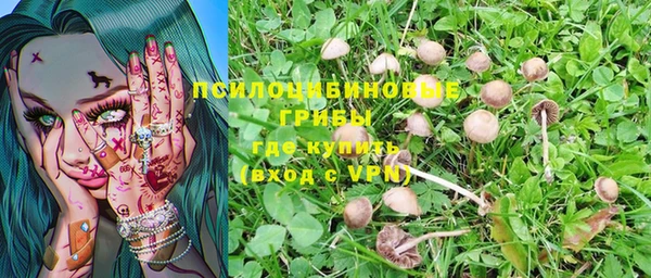 мет Балахна
