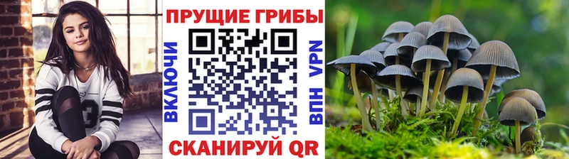 ОМГ ОМГ как войти  Ульяновск  Галлюциногенные грибы мицелий 